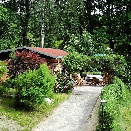 Ferienhaus Am Urzeitpark Sebnitz Hertigswalde Bagian luar foto