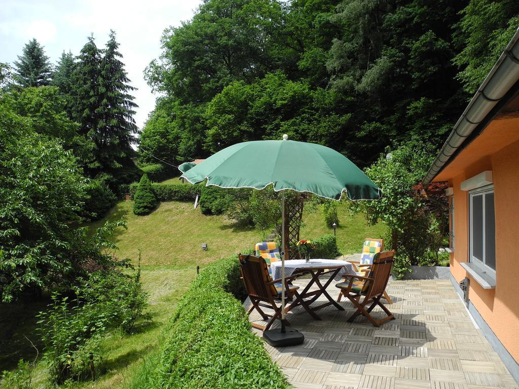 Ferienhaus Am Urzeitpark Sebnitz Hertigswalde Bagian luar foto