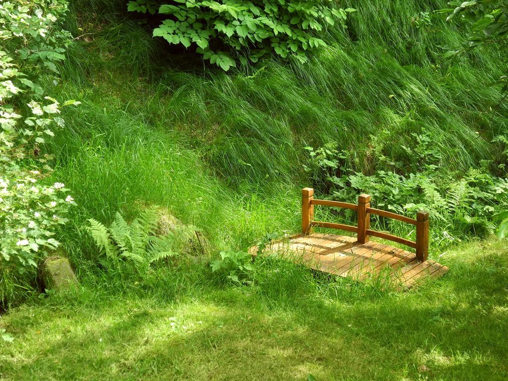 Ferienhaus Am Urzeitpark Sebnitz Hertigswalde Bagian luar foto