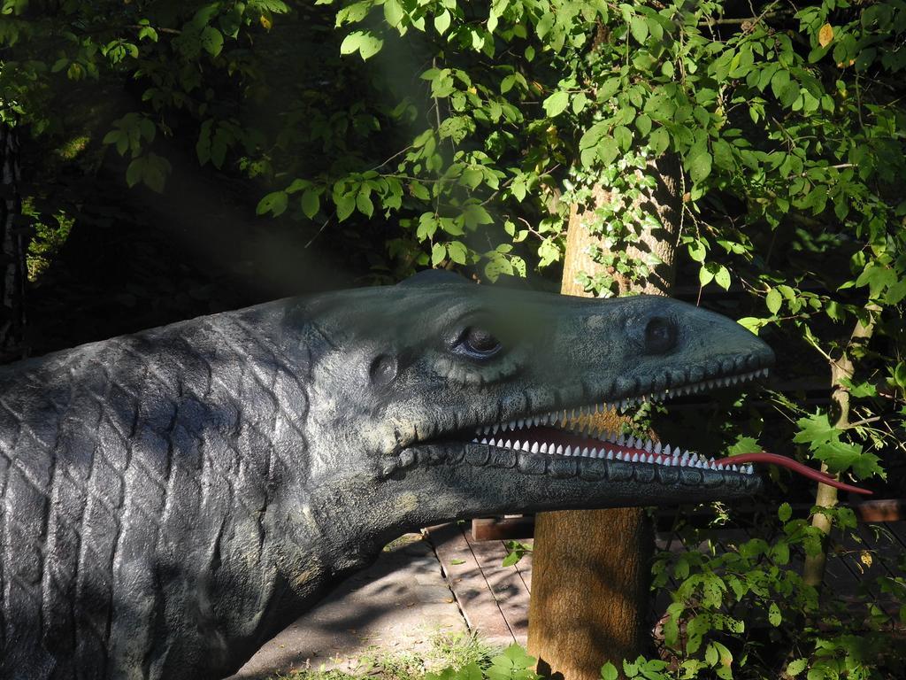 Ferienhaus Am Urzeitpark Sebnitz Hertigswalde Bagian luar foto
