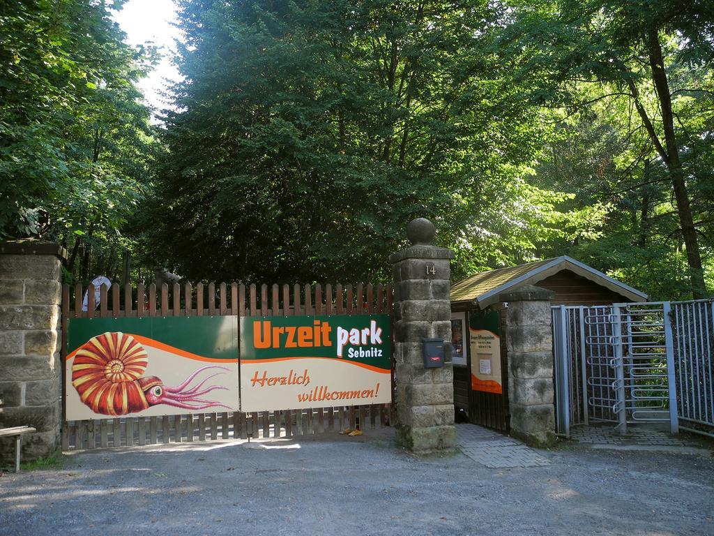 Ferienhaus Am Urzeitpark Sebnitz Hertigswalde Bagian luar foto